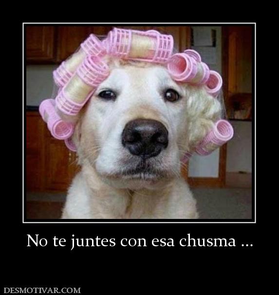 No te juntes con esa chusma ...
