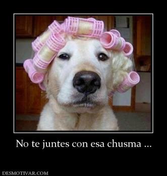 No te juntes con esa chusma ...