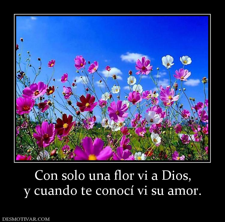 Con solo una flor vi a Dios, y cuando te conocí vi su amor.
