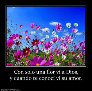 Con solo una flor vi a Dios, y cuando te conocí vi su amor.
