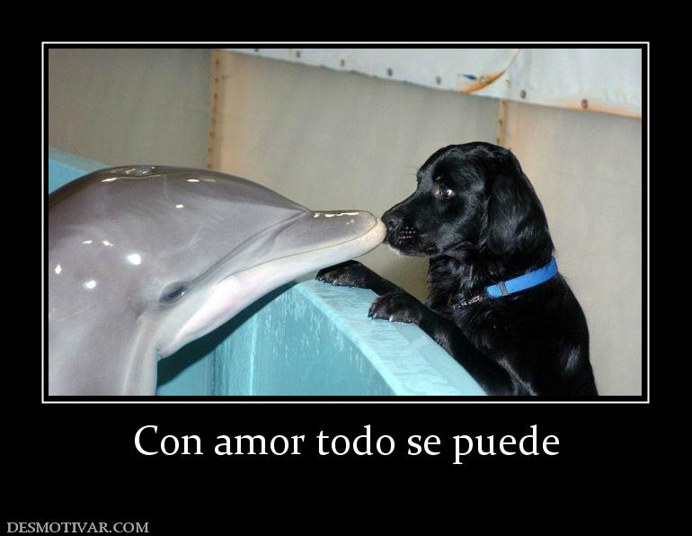 Con amor todo se puede
