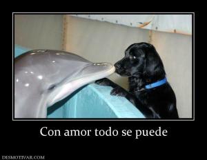 Con amor todo se puede