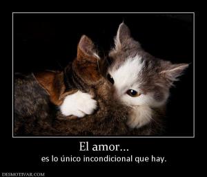 El amor... es lo único incondicional que hay.