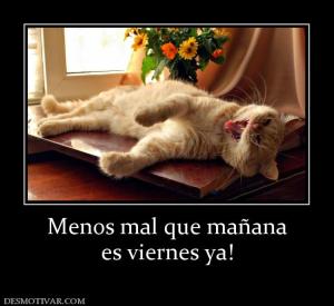 Menos mal que mañana es viernes ya!