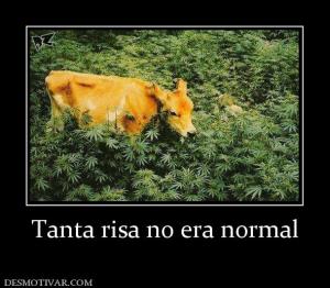 Tanta risa no era normal