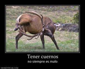 Tener cuernos no siempre es malo