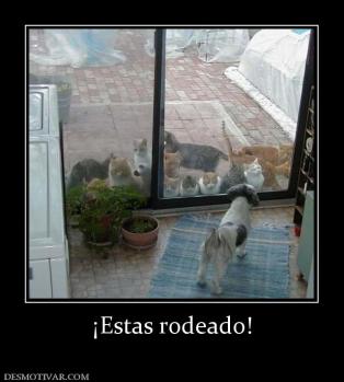 ¡Estas rodeado!