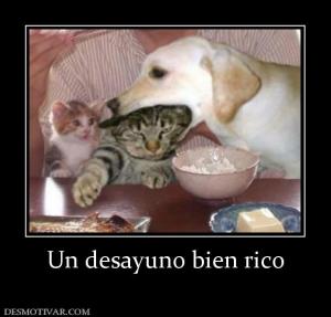 Un desayuno bien rico