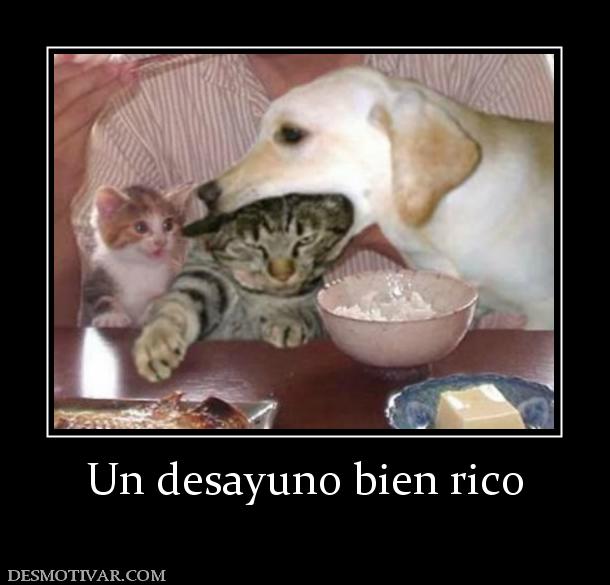 Un desayuno bien rico