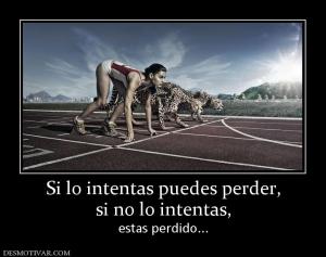 Si lo intentas puedes perder, si no lo intentas,  estas perdido...
