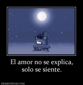 El amor no se explica, solo se siente.