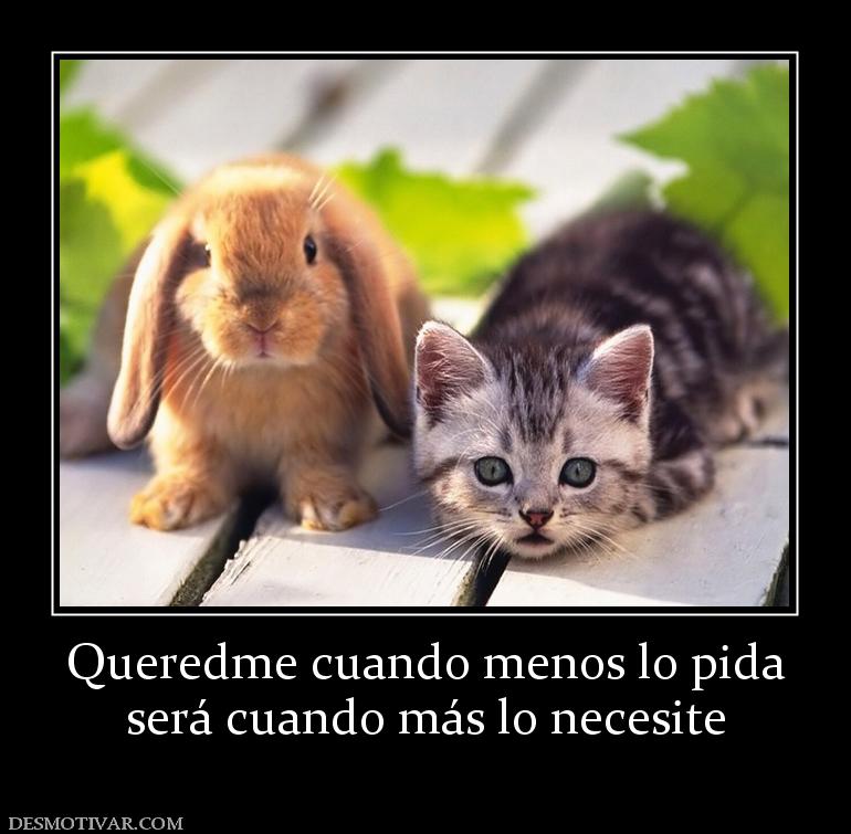 Queredme cuando menos lo pida será cuando más lo necesite