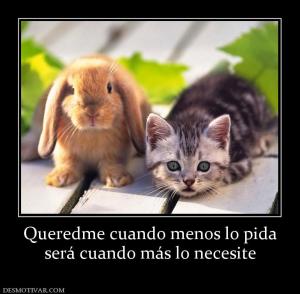 Queredme cuando menos lo pida será cuando más lo necesite