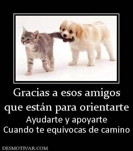 Gracias a esos amigos que están para orientarte Ayudarte y apoyarte Cuando te equivocas de camino
