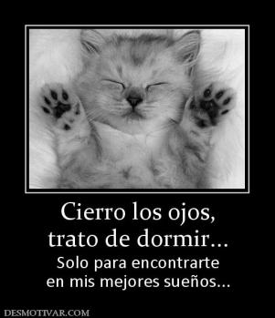 Cierro los ojos, trato de dormir... Solo para encontrarte en mis mejores sueños...
