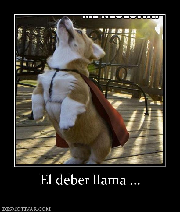 El deber llama ...