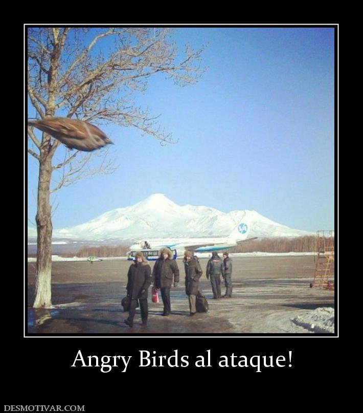 Angry Birds al ataque!