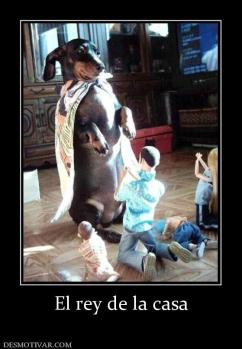 El rey de la casa