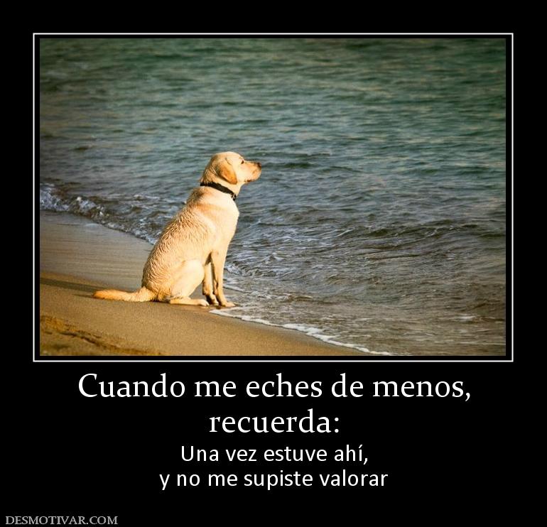 Cuando me eches de menos, recuerda: Una vez estuve ahí, y no me supiste valorar