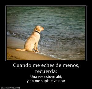 Cuando me eches de menos, recuerda: Una vez estuve ahí, y no me supiste valorar