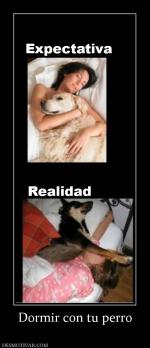 Dormir con tu perro
