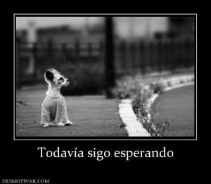 Todavía sigo esperando