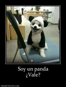 Soy un panda ¿Vale?