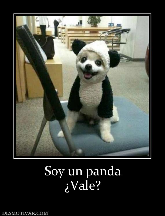 Soy un panda ¿Vale?