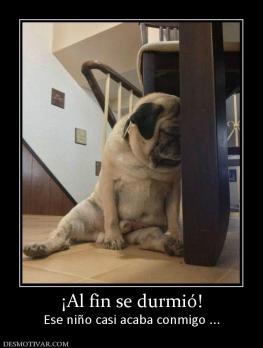 ¡Al fin se durmió! Ese niño casi acaba conmigo ...