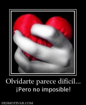 Olvidarte parece difícil... ¡Pero no imposible!