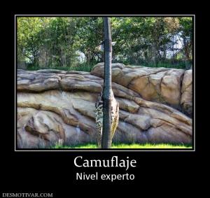 Camuflaje Nivel experto