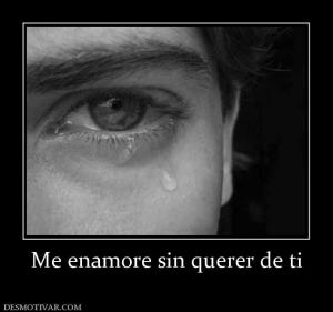 Me enamore sin querer de ti