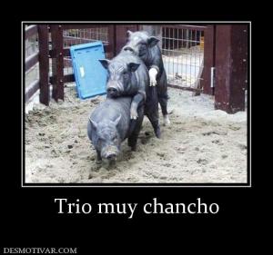 Trio muy chancho