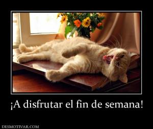 ¡A disfrutar el fin de semana!
