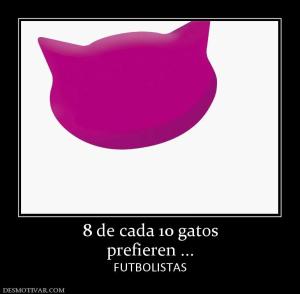 8 de cada 10 gatos prefieren ... FUTBOLISTAS