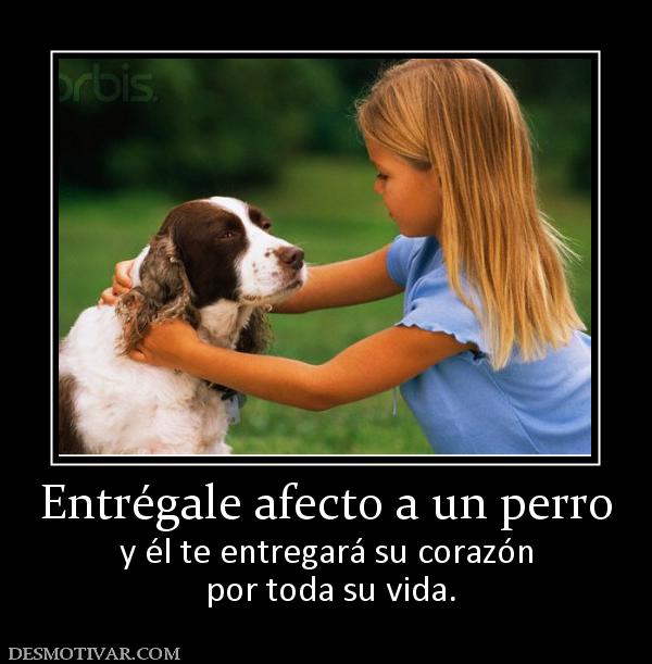 Entrégale afecto a un perro y él te entregará su corazón  por toda su vida.