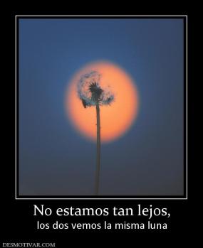 No estamos tan lejos, los dos vemos la misma luna
