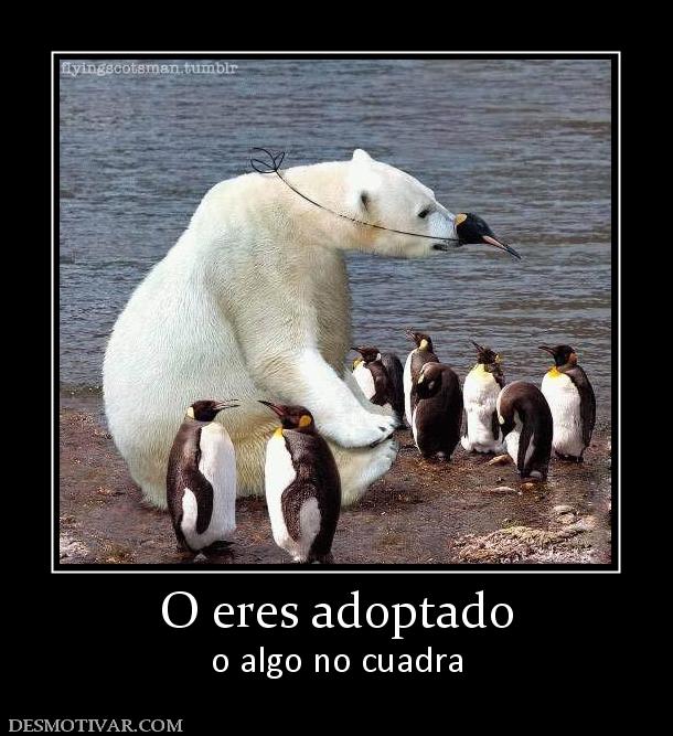 O eres adoptado o algo no cuadra