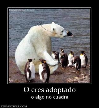 O eres adoptado o algo no cuadra