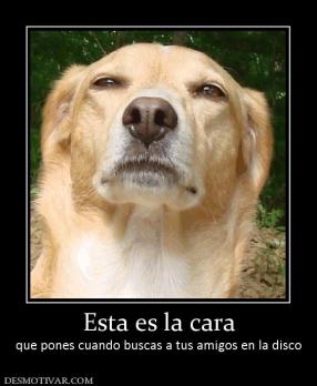 Esta es la cara que pones cuando buscas a tus amigos en la disco