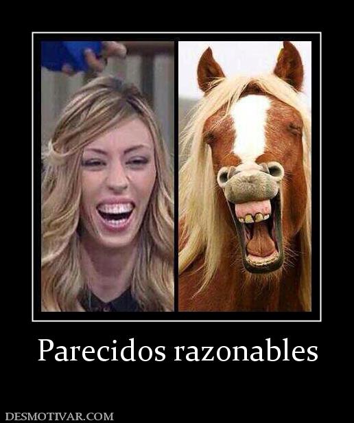 Parecidos razonables