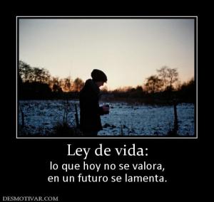 Ley de vida: lo que hoy no se valora, en un futuro se lamenta.