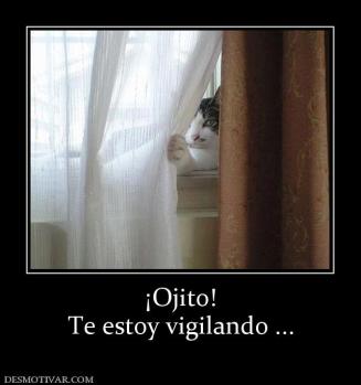¡Ojito! Te estoy vigilando ...