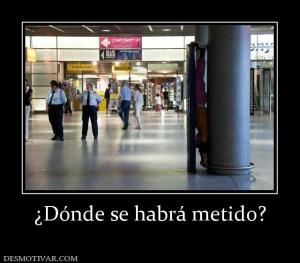 ¿Dónde se habrá metido?