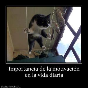Importancia de la motivación en la vida diaria