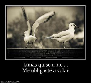 Jamás quise irme ... Me obligaste a volar