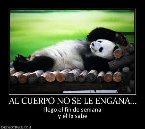 AL CUERPO NO SE LE ENGAÑA... llego el fin de semana y él lo sabe