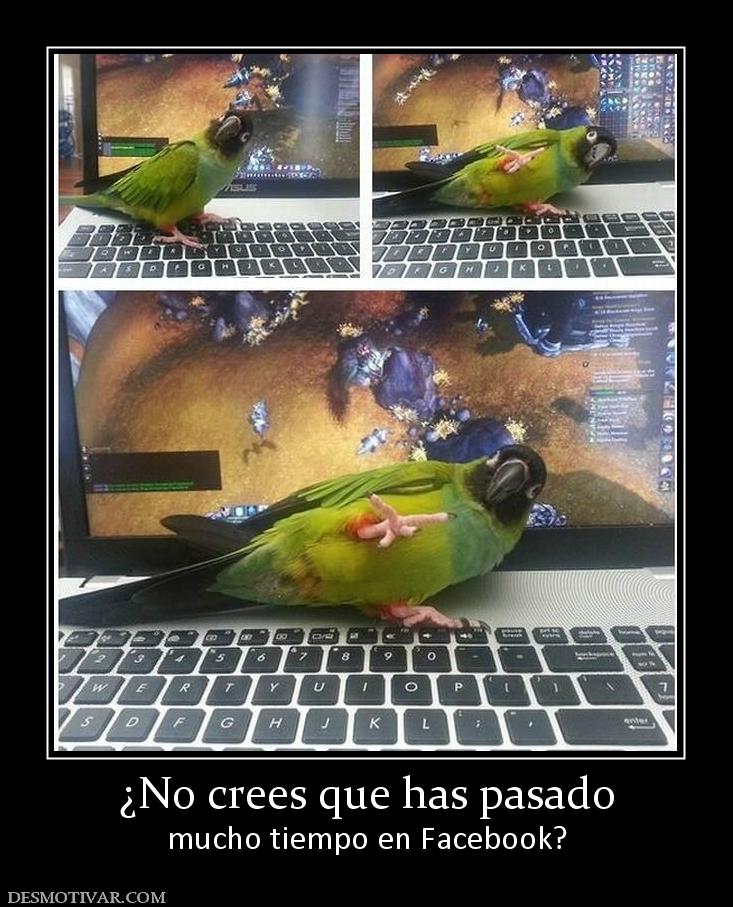 ¿No crees que has pasado mucho tiempo en Facebook?
