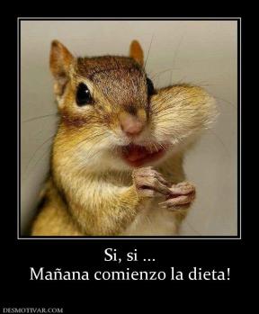 Si, si ... Mañana comienzo la dieta!