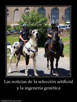 Las noticias de la selección artificia y la ingenería genética